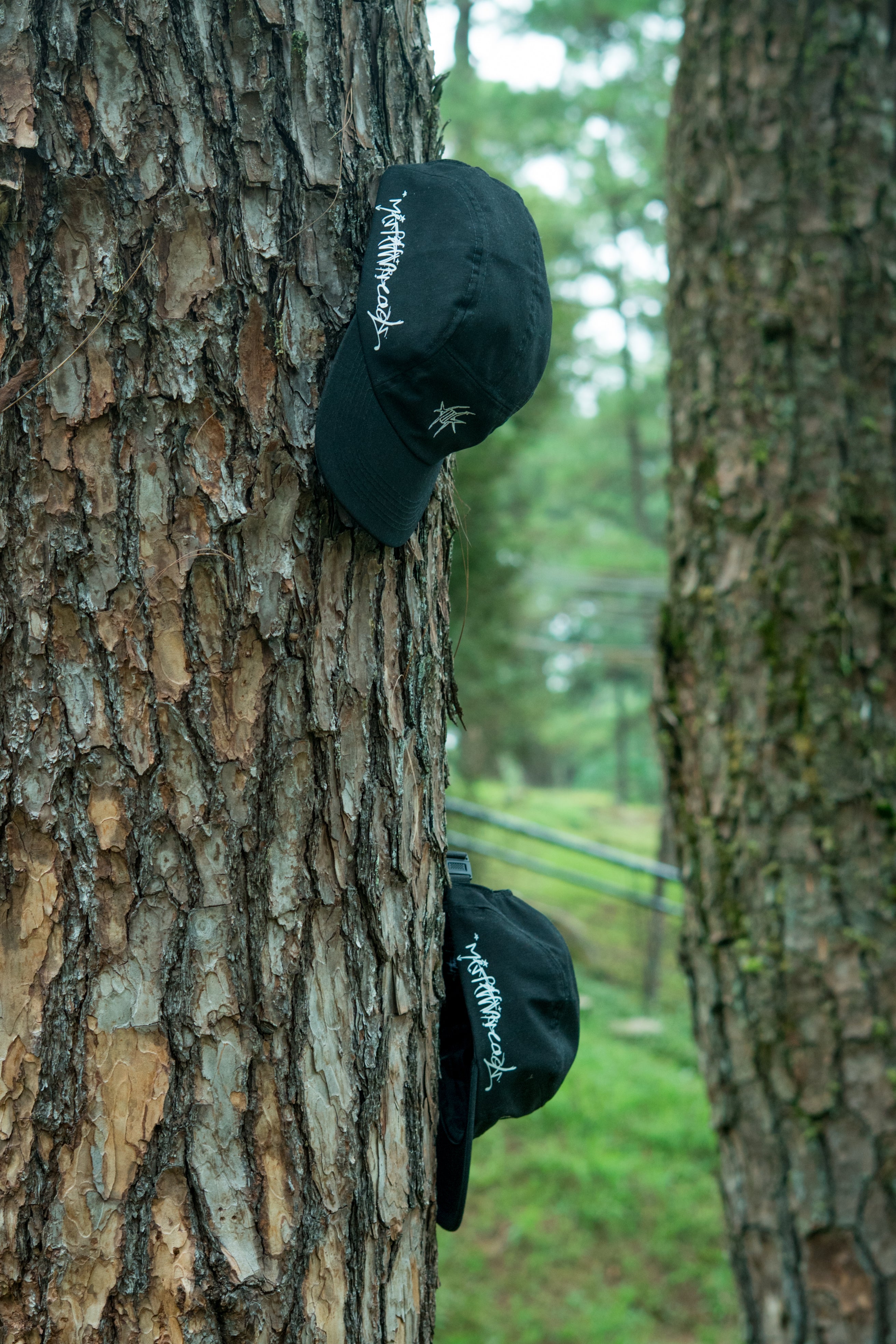 BARBED WIRE 5 PANEL HAT